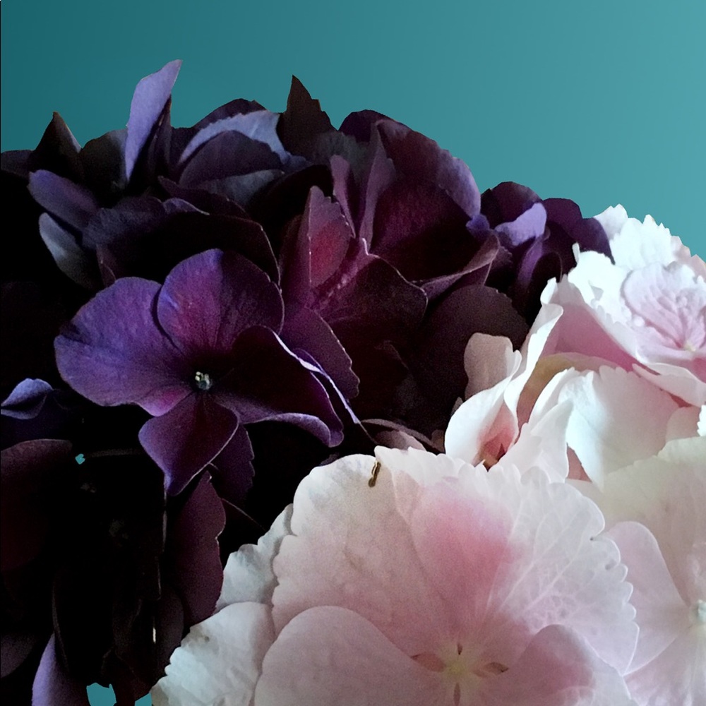 Meet your Posher, Tina